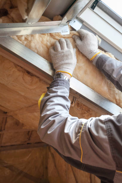 Best Basement Insulation  in Grayling, MI